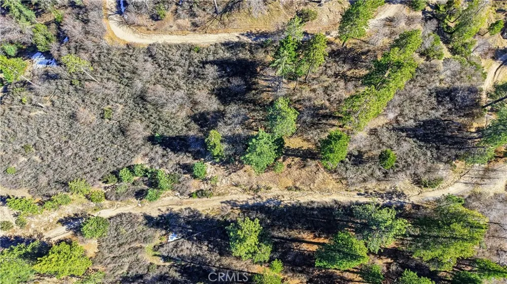 Elder Drive Cedar Glen, CA 92321