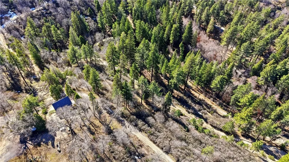 Elder Drive Cedar Glen, CA 92321