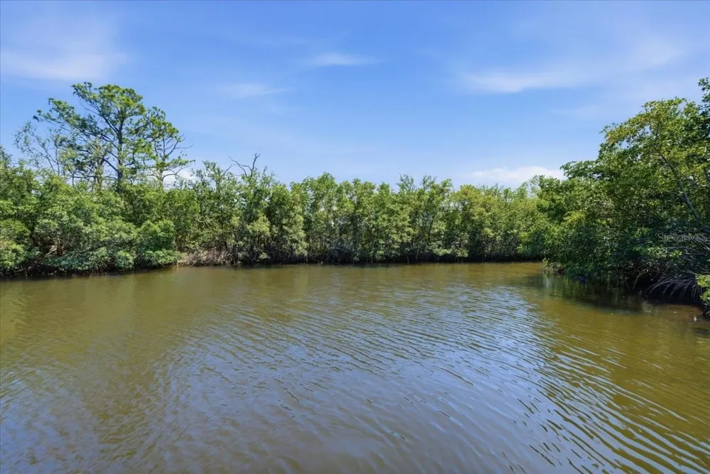 1130 S FLORIDA AVENUE Tarpon Springs, FL 34689