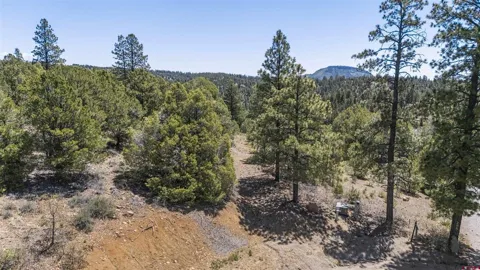 275 Logging Trail Road