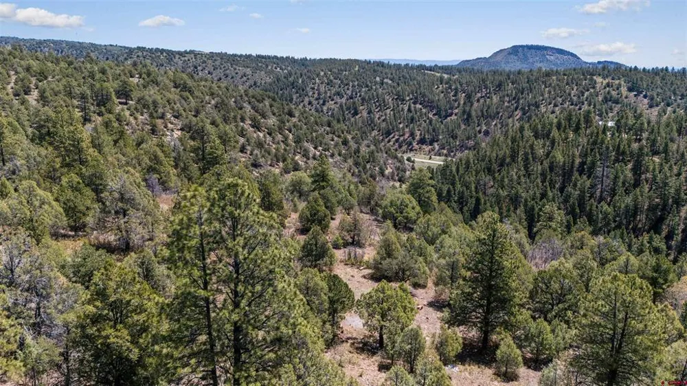 275 Logging Trail Road Durango, CO 81303