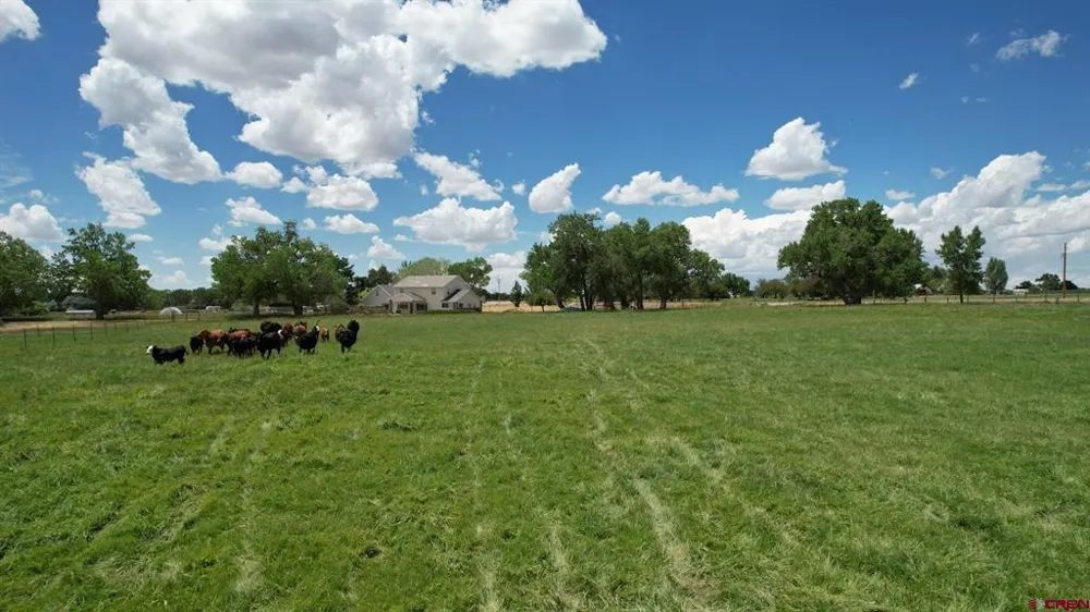 Road M Dolores, CO 81323