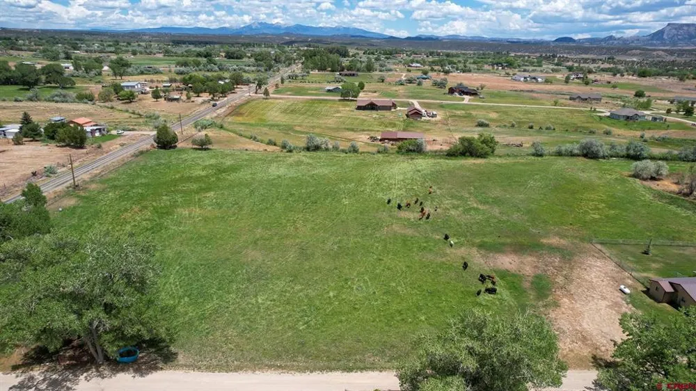 Road M Dolores, CO 81323