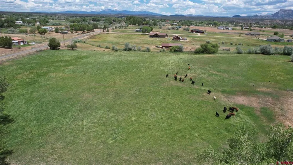 Road M Dolores, CO 81323