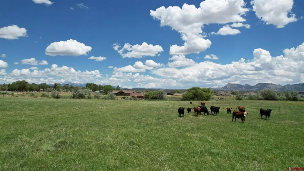 Road M Dolores, CO 81323