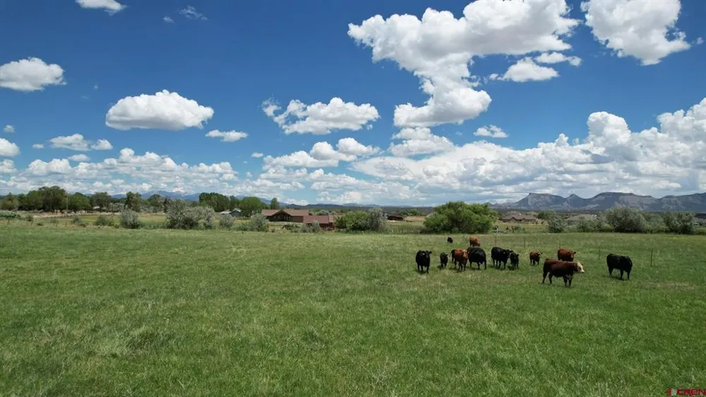 Road M Dolores, CO 81323