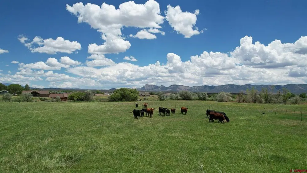 Road M Dolores, CO 81323