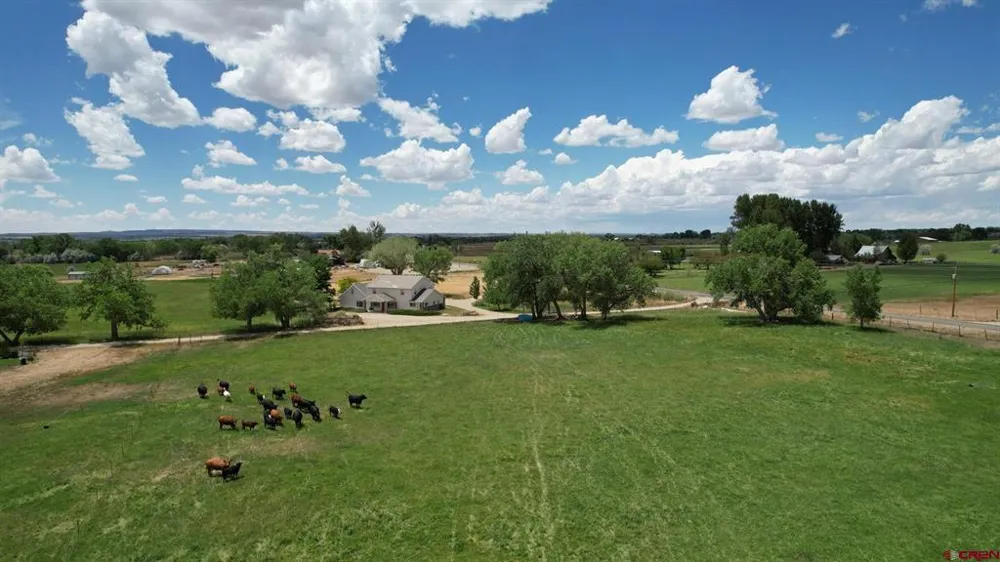 Road M Dolores, CO 81323