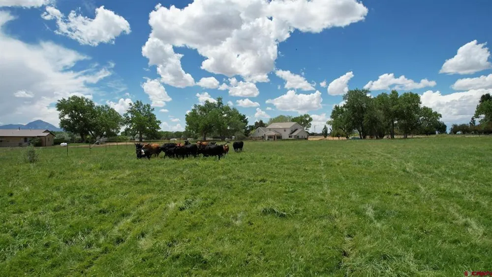 Road M Dolores, CO 81323