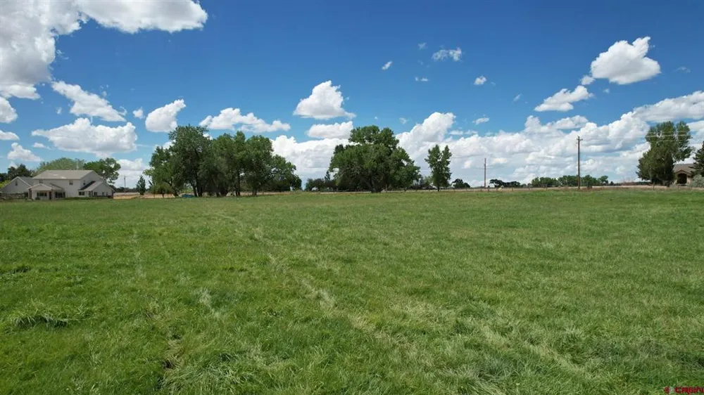 Road M Dolores, CO 81323