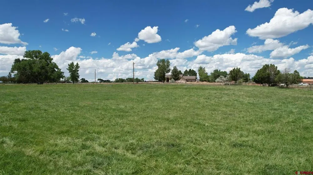 Road M Dolores, CO 81323