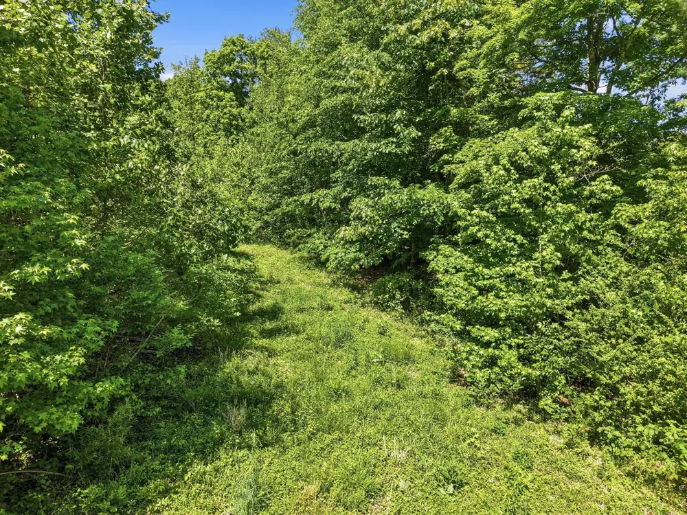 6 Falling Water Rd Cookeville, TN 38506