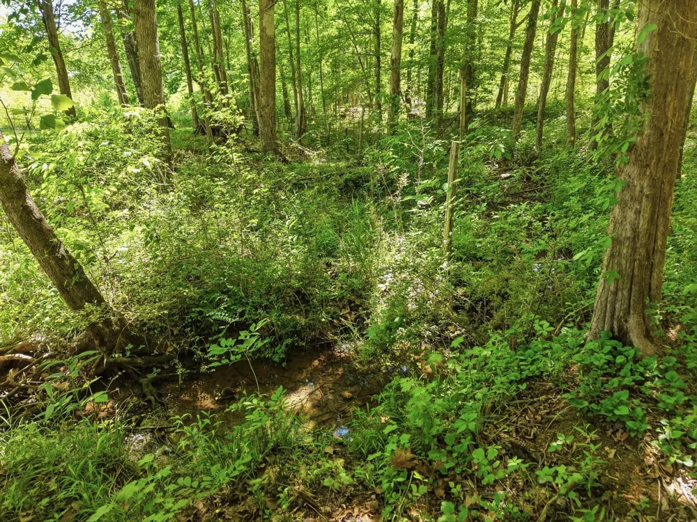 6 Falling Water Rd Cookeville, TN 38506