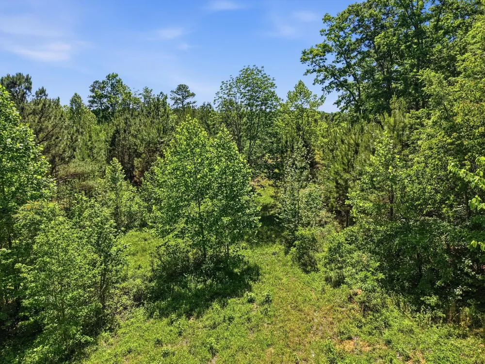 6 Falling Water Rd Cookeville, TN 38506