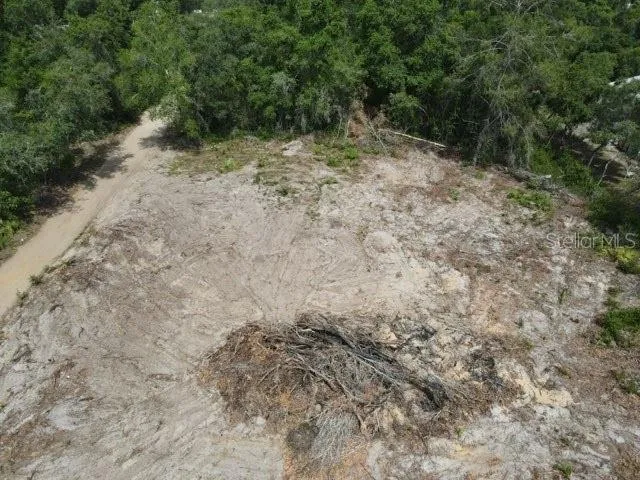 X SE 143RD LN Umatilla, FL 32784