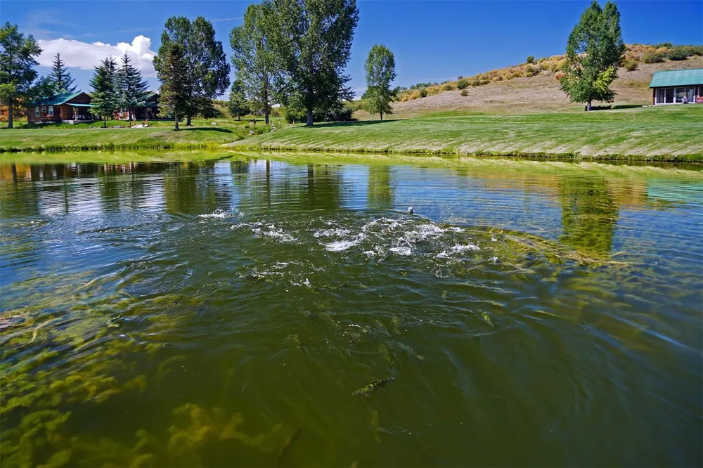 29830 Cr-8 Yampa, CO 80483