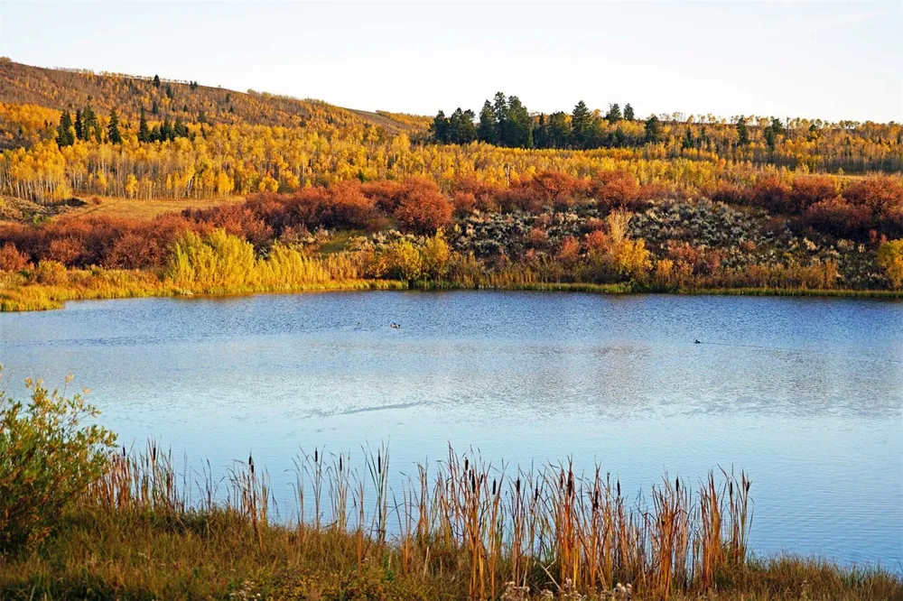 29830 Cr-8 Yampa, CO 80483