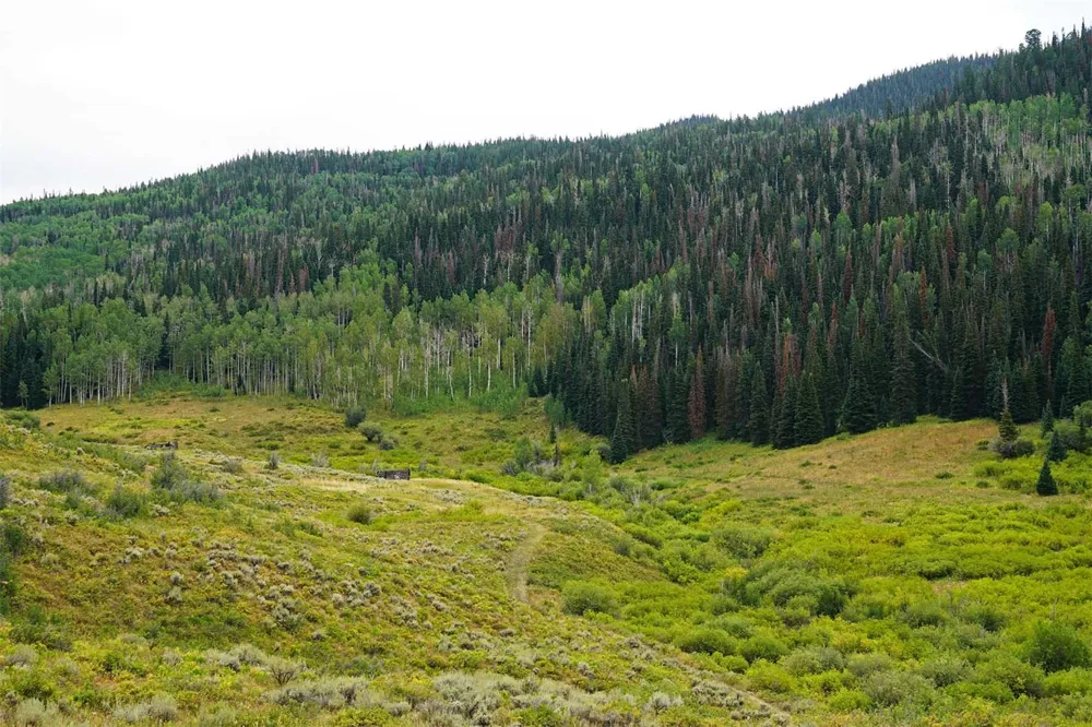 29830 Cr-8 Yampa, CO 80483