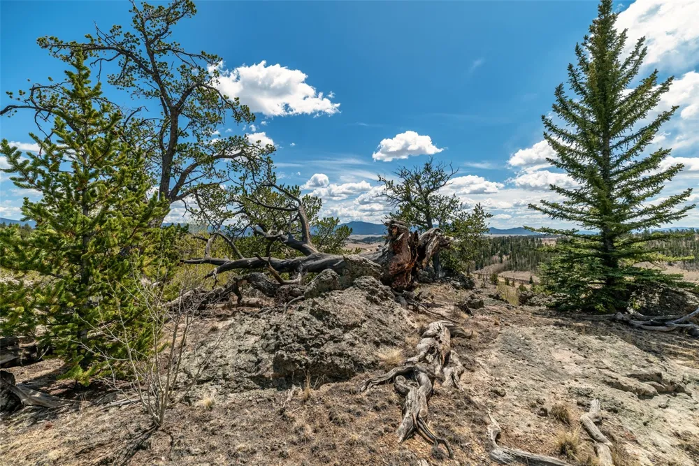360 Musket Lane Como, CO 80432