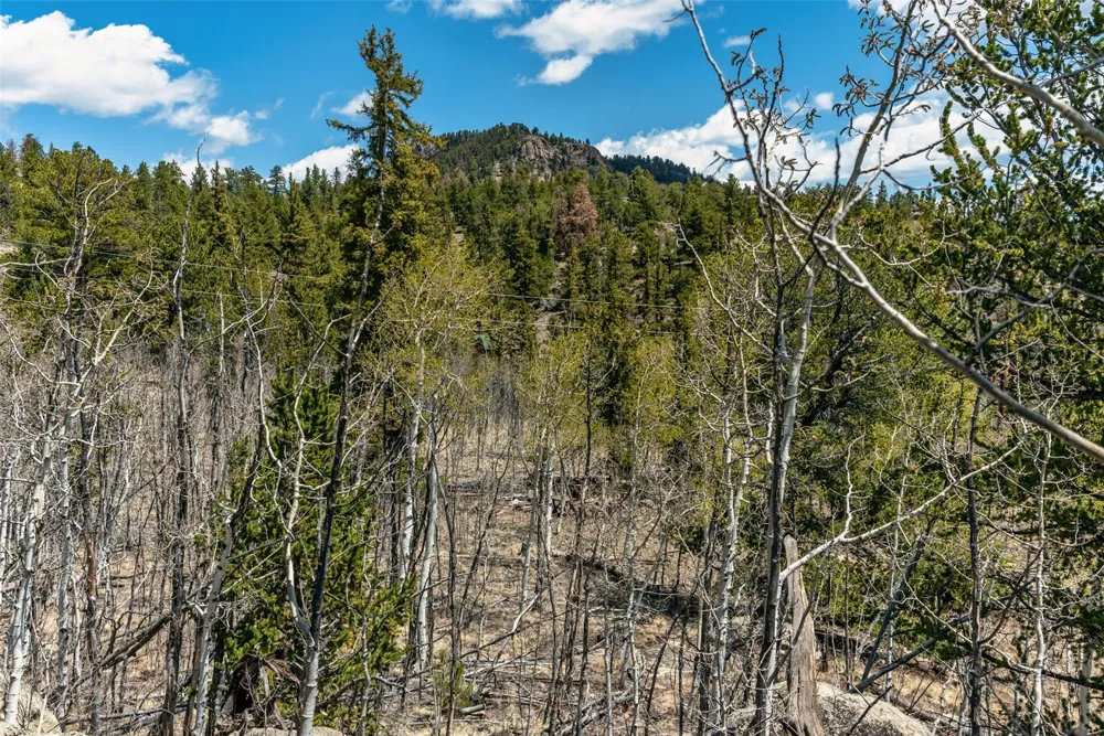 360 Musket Lane Como, CO 80432