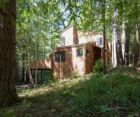 355 Chinquapin Lane