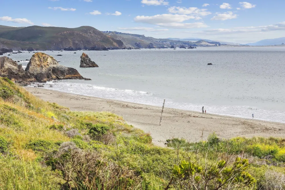 114 Condor Court Bodega Bay, CA 94923