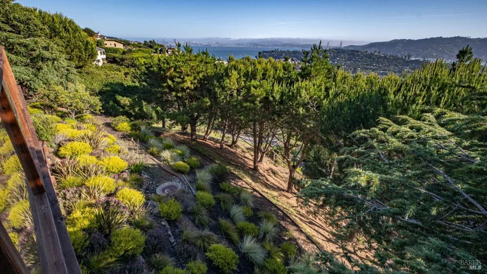 23 Venado Drive Tiburon, CA 94920