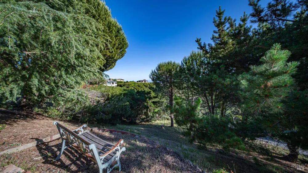 23 Venado Drive Tiburon, CA 94920