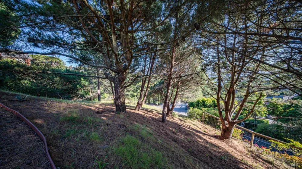 23 Venado Drive Tiburon, CA 94920