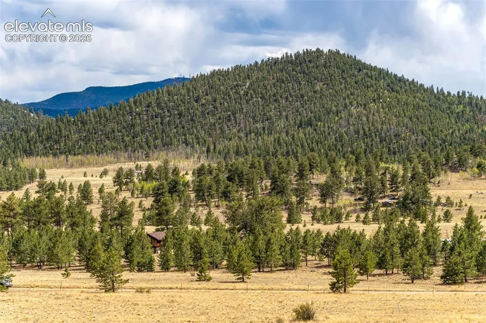 Pike View Drive Lake George, CO 80827
