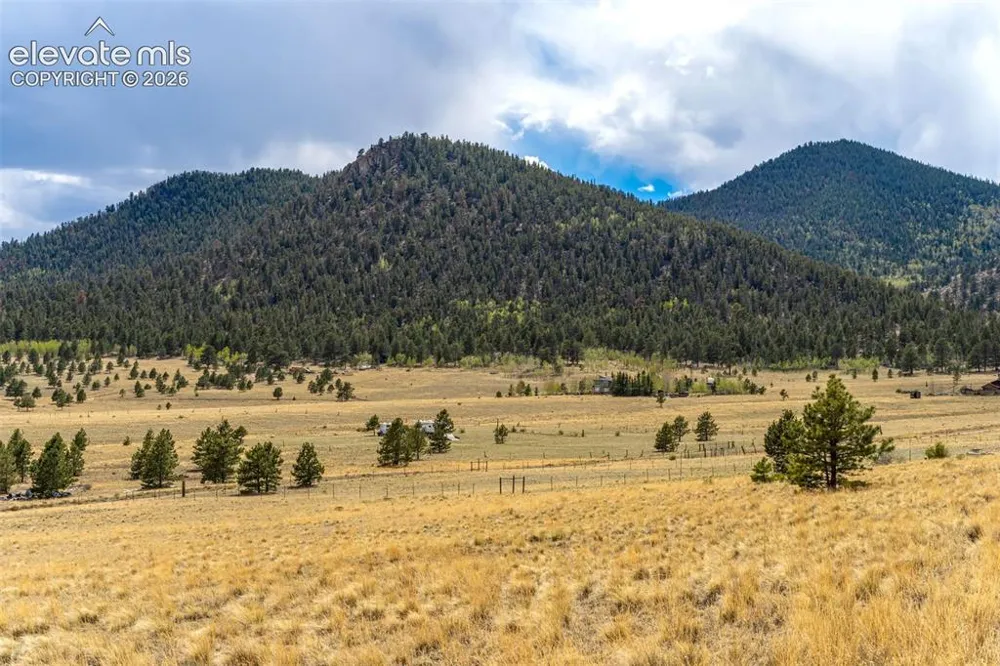 Pike View Drive Lake George, CO 80827
