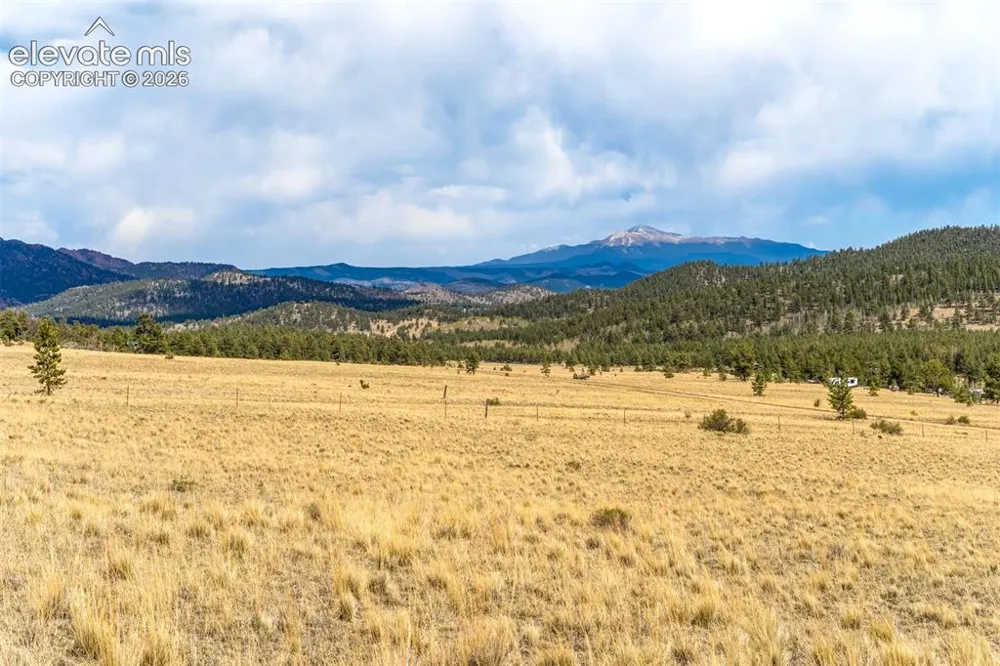 Pike View Drive Lake George, CO 80827