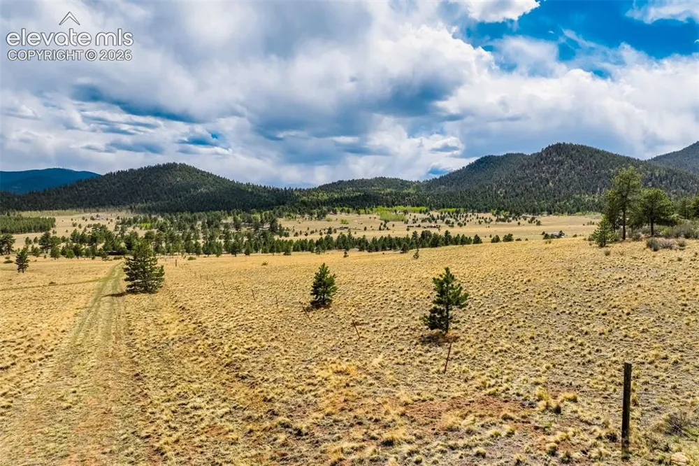 Pike View Drive Lake George, CO 80827