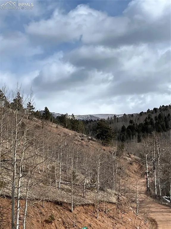 2136 Golden Cycle Circle Cripple Creek, CO 80813
