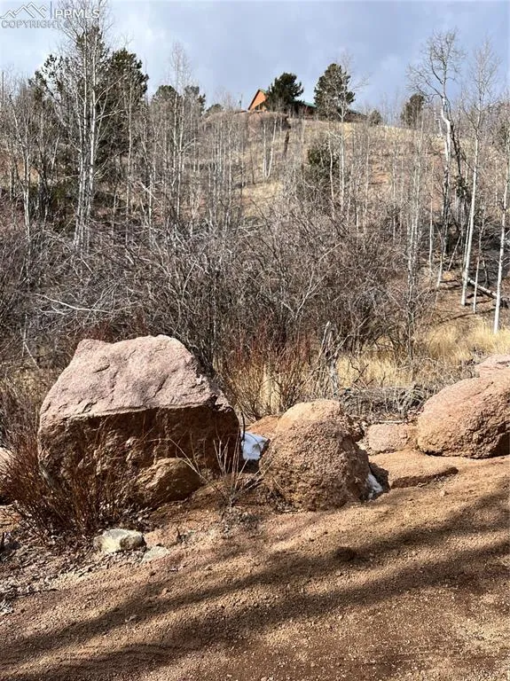 2136 Golden Cycle Circle Cripple Creek, CO 80813