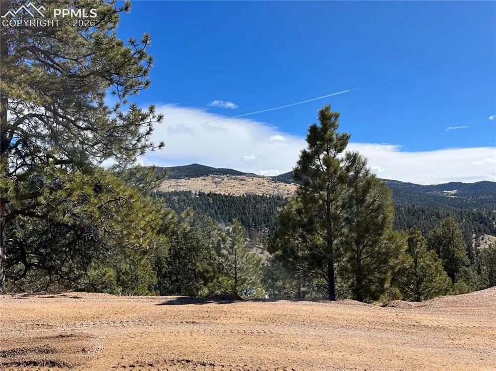 351 Dandy Jim Drive Cripple Creek, CO 80813