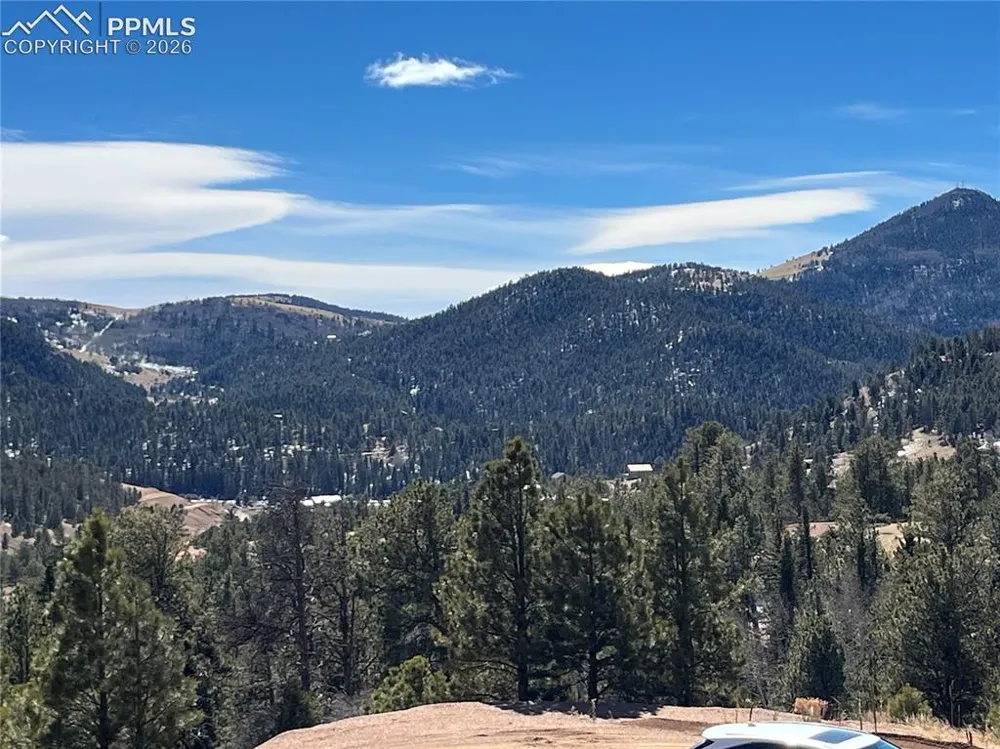 351 Dandy Jim Drive Cripple Creek, CO 80813