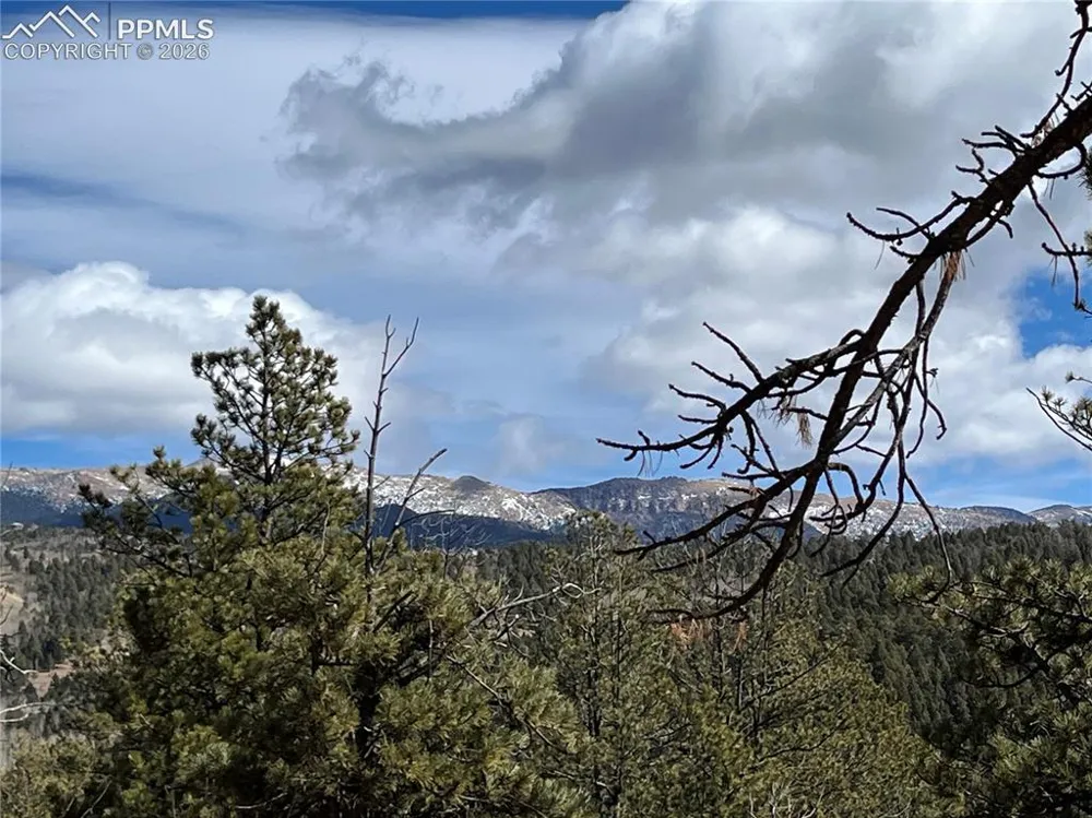 351 Dandy Jim Drive Cripple Creek, CO 80813