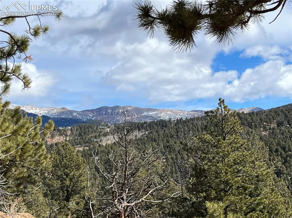 351 Dandy Jim Drive Cripple Creek, CO 80813