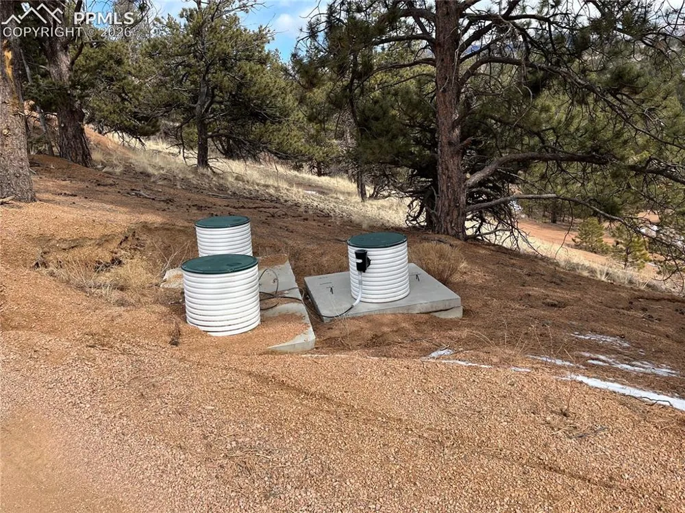 351 Dandy Jim Drive Cripple Creek, CO 80813