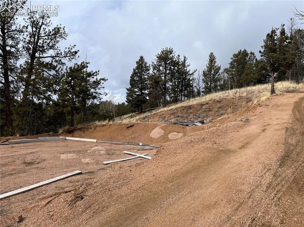 351 Dandy Jim Drive Cripple Creek, CO 80813