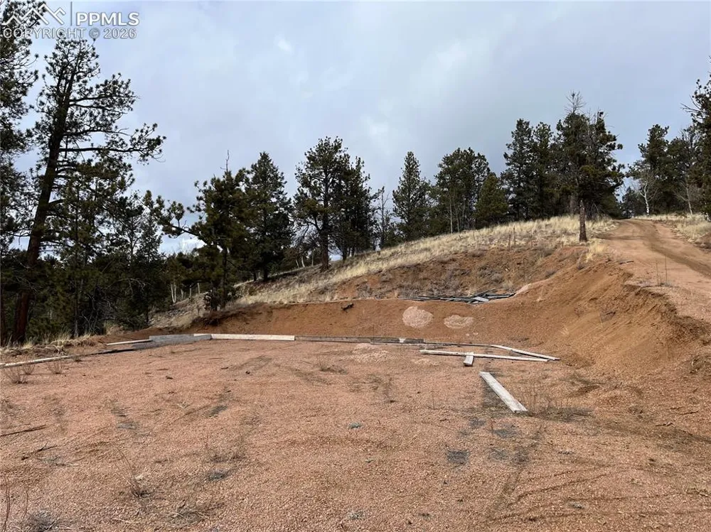 351 Dandy Jim Drive Cripple Creek, CO 80813