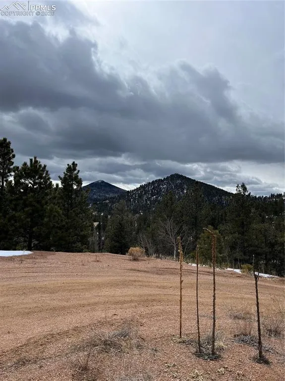 351 Dandy Jim Drive Cripple Creek, CO 80813