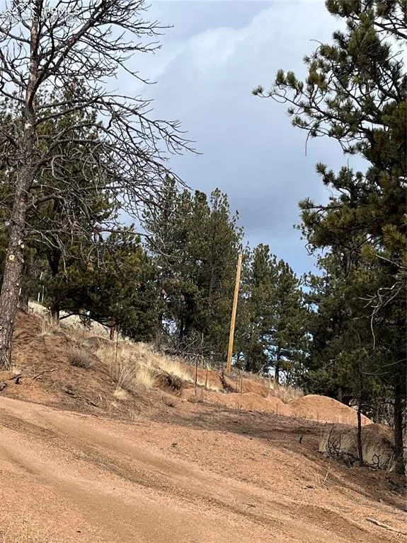 351 Dandy Jim Drive Cripple Creek, CO 80813