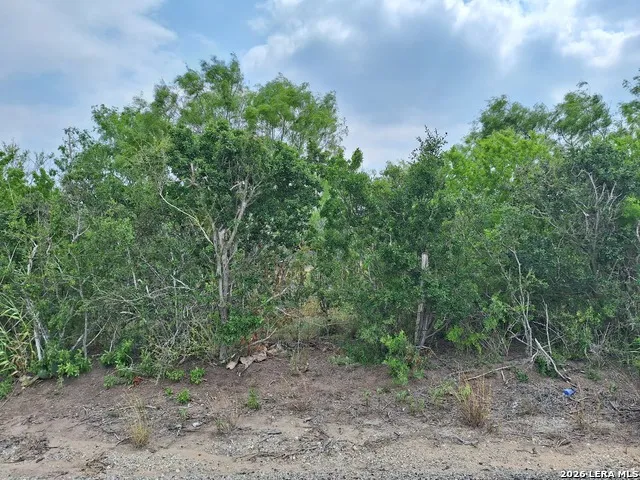 0 CR 148 Kenedy, TX 78119