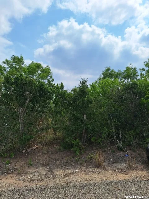 0 CR 148 Kenedy, TX 78119