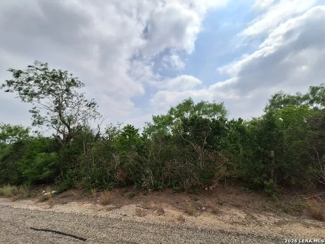 0 CR 148 Kenedy, TX 78119