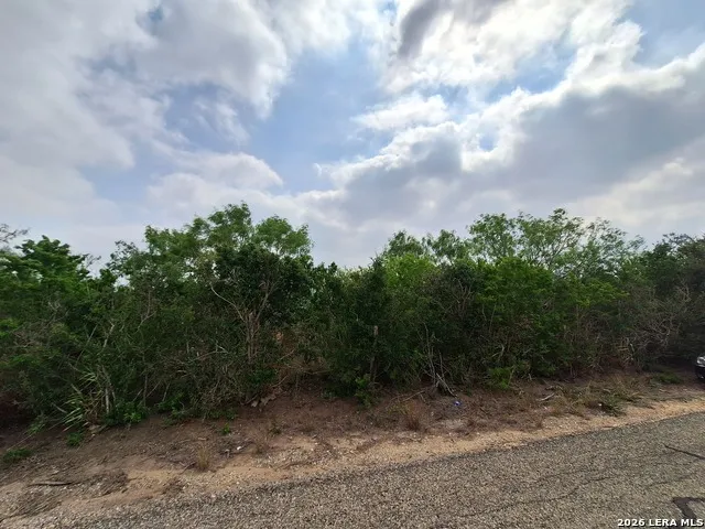 0 CR 148 Kenedy, TX 78119
