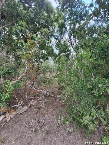 0 CR 148 Kenedy, TX 78119
