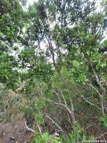 0 CR 148 Kenedy, TX 78119